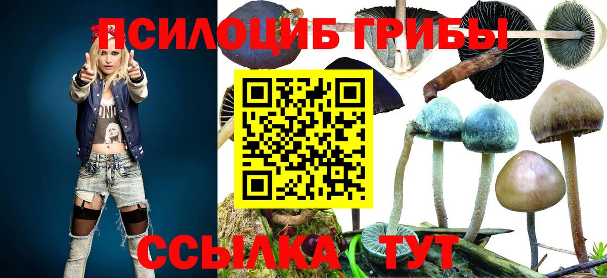 Псилоцибиновые грибы MAGIC MUSHROOMS Комсомольск-на-Амуре